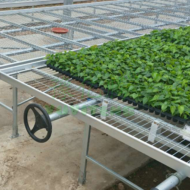Hydroponic flood tables and trays ebb and flow rolling bench