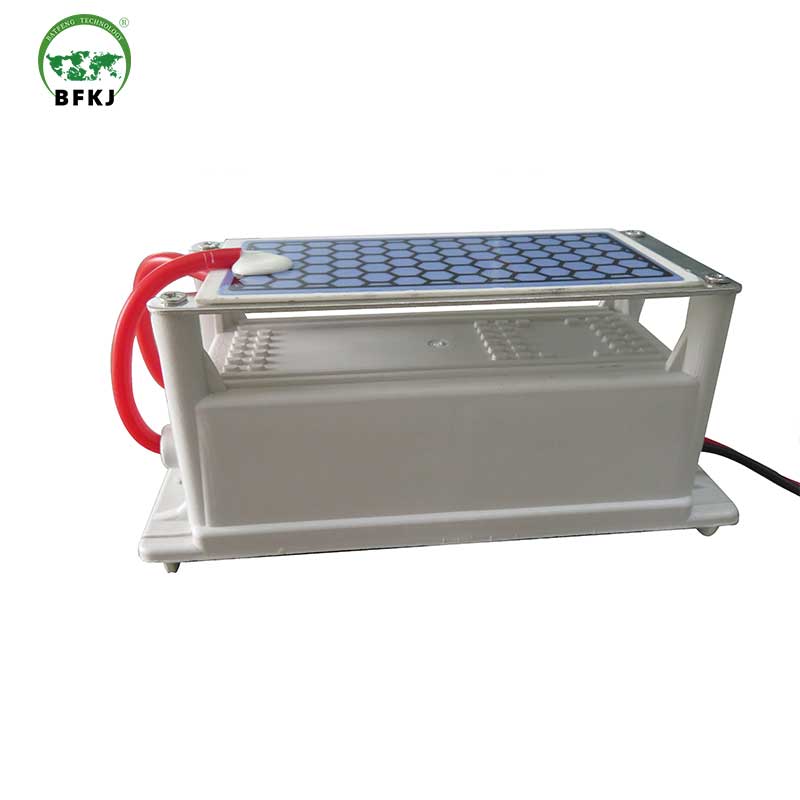 5g Customized waterproof ceramic plates Ozone generator for air