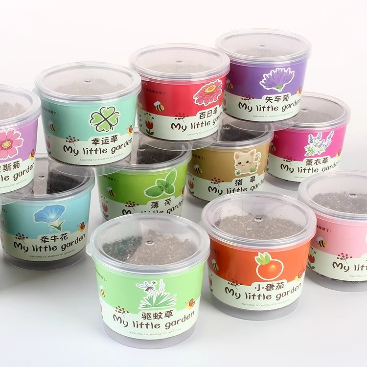 Gardening Household Items Fruit And Vegetable Flower Small Pot Parent-child Plant Grain In Ear Blind Box Set Nourishing Soi