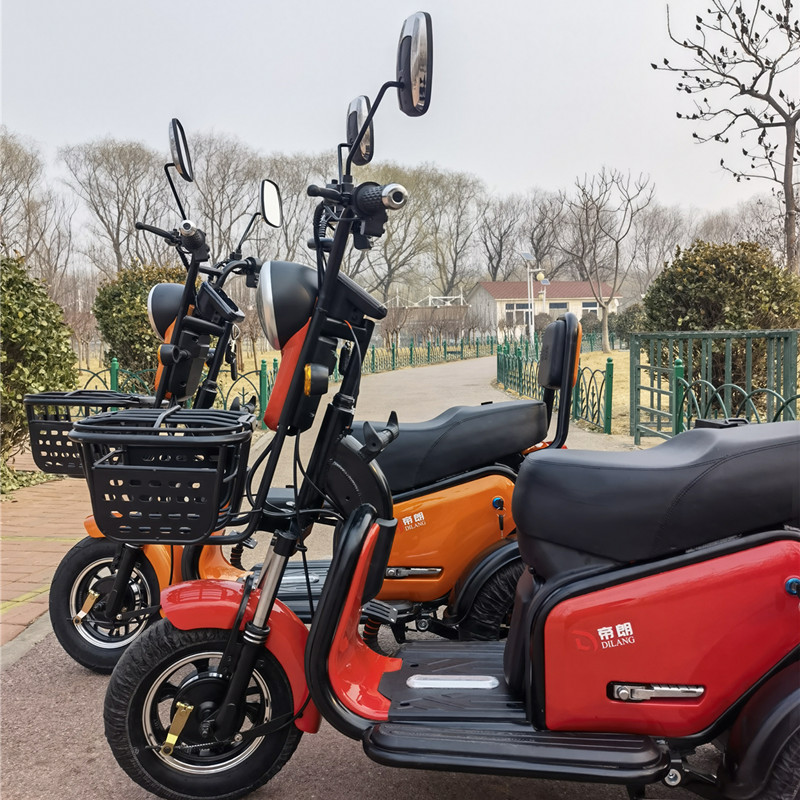 small and exquisite etrike electric scooter tricycle for 3 people