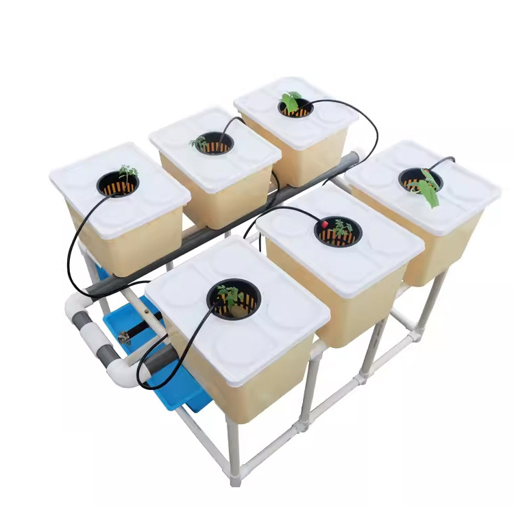 Indoor Tomato Bato Dutch 11L Barrel Irrigation Dutch System Hydroponic Bucket 6 PCS Kits