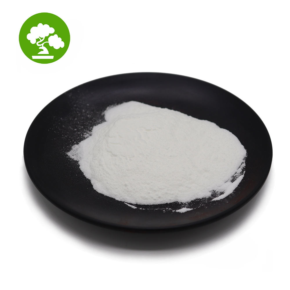 Sodium Alginate High Quality Best Selling With Fast Delivery Sodium Alginate CAS 9005-38-3