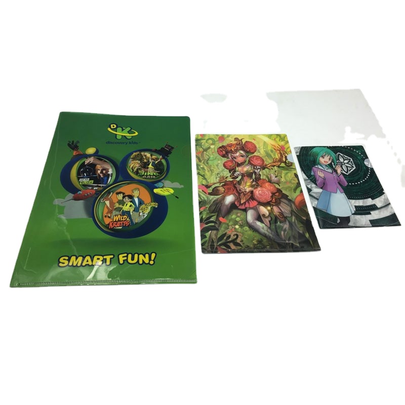 Office Stationery PP inner pages file folder box