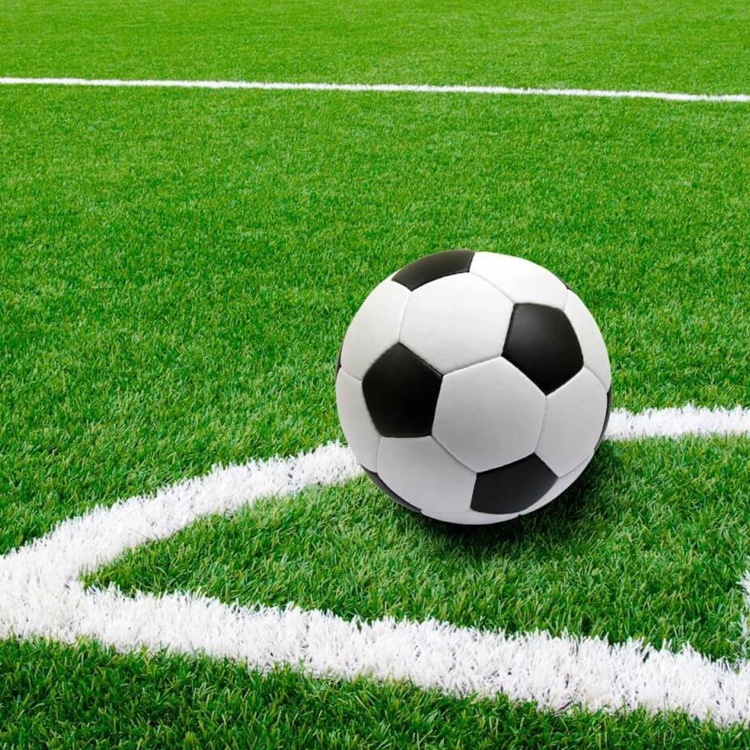 Non Infill Soccer Field Turf Artificial Turf Grass For Sale