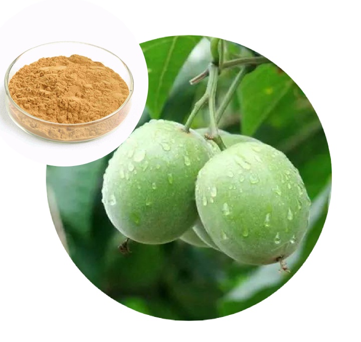 luo han guo Extract Monk Fruit 98% provide free samples