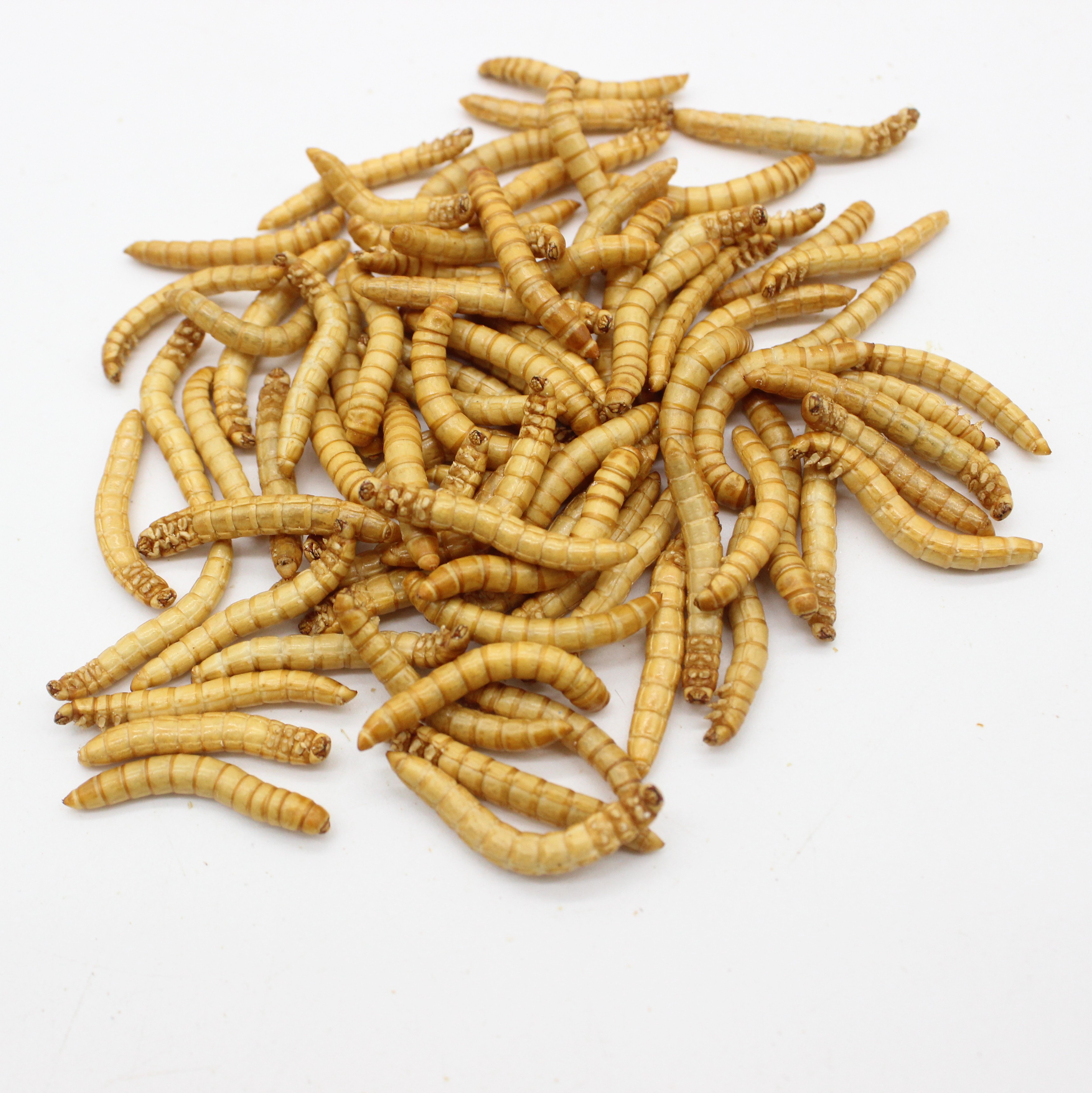 Питомец мышь еда и птица еда и рыба еда с высоким содержанием белка mealworms