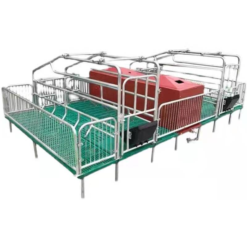Pig Equipment Pig Farrowing Crates Sow Farrowing Pen