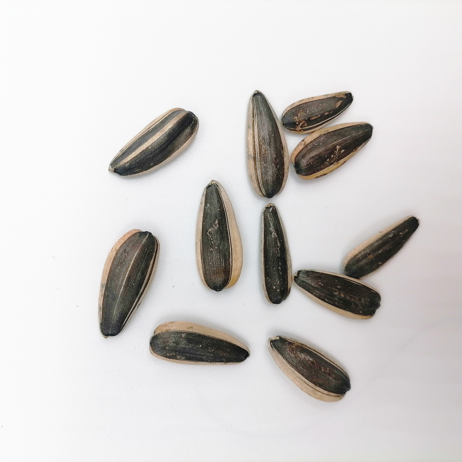 For human snack striped bigs sunflower seeds bulk