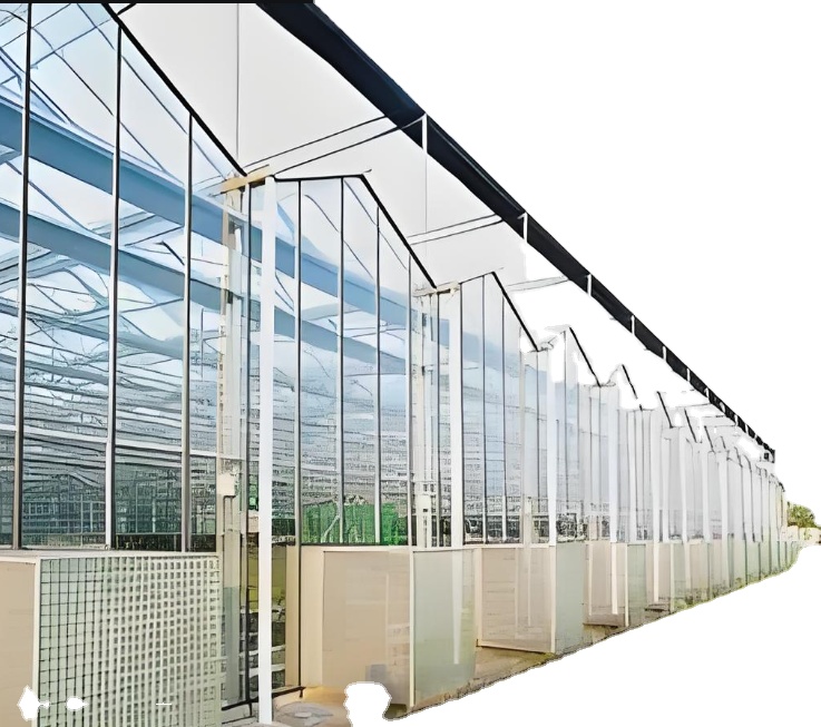 Commercial Agriculture Steel Farming Low Cost Hydroponic Features Plant Professional Custom Large Multi-Span Glass Greenhouses