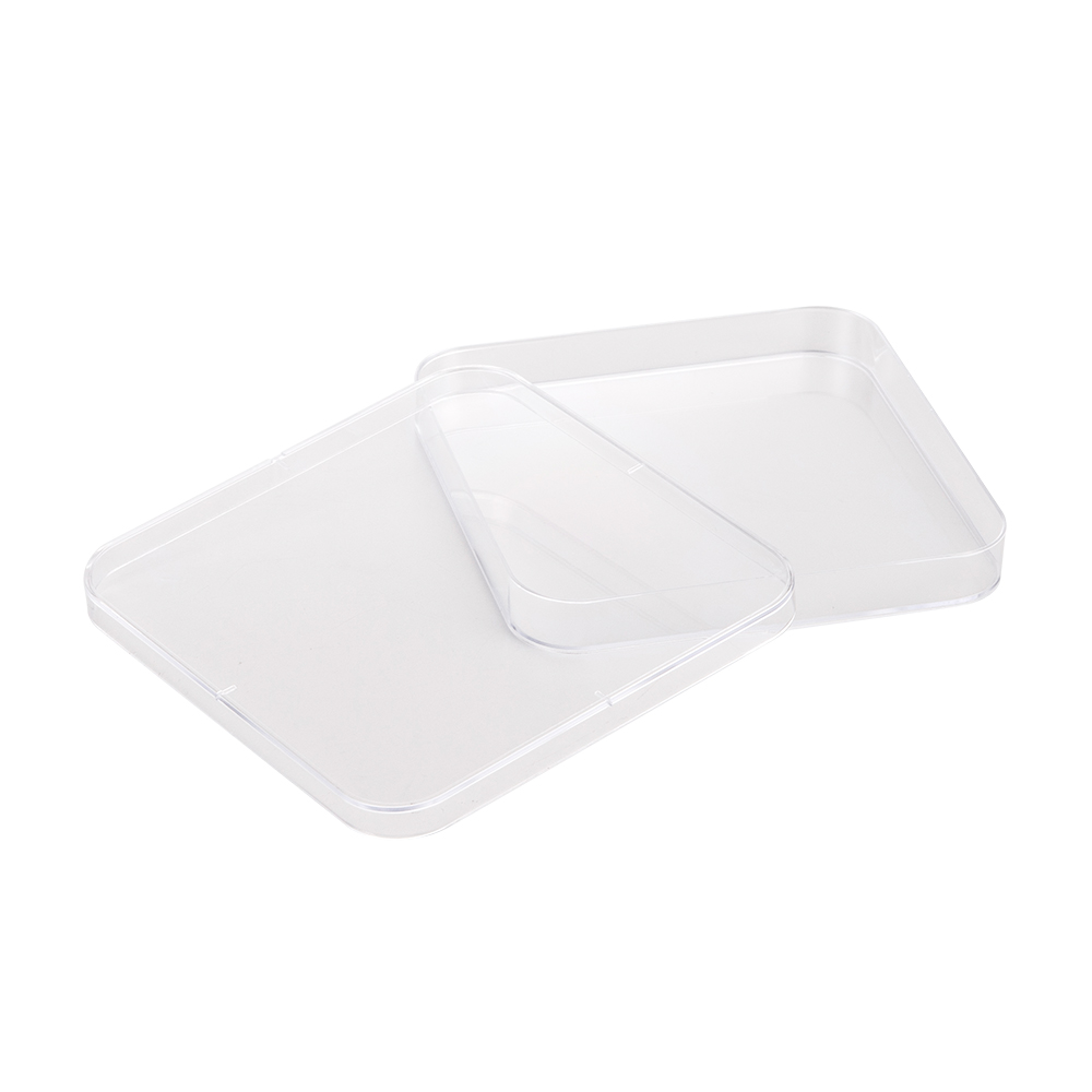 130mm*130mm plastic petri dish square petri plate with lid
