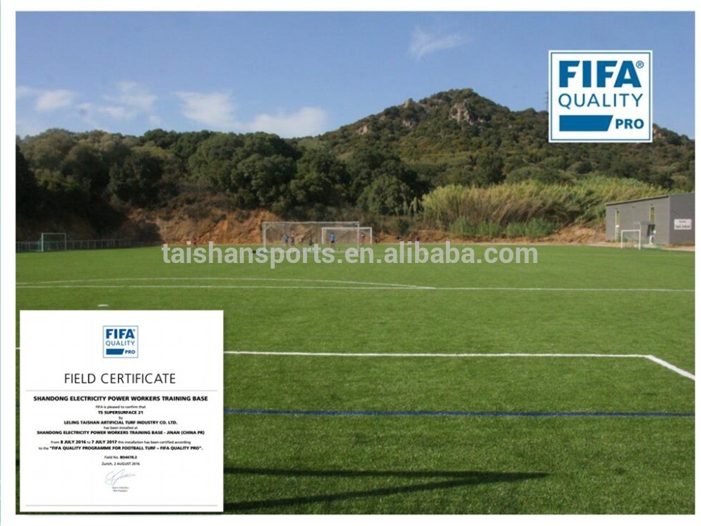 Taishan artificial turf sports grass football field Soccer paving outstanding durability good wear resistance customizable