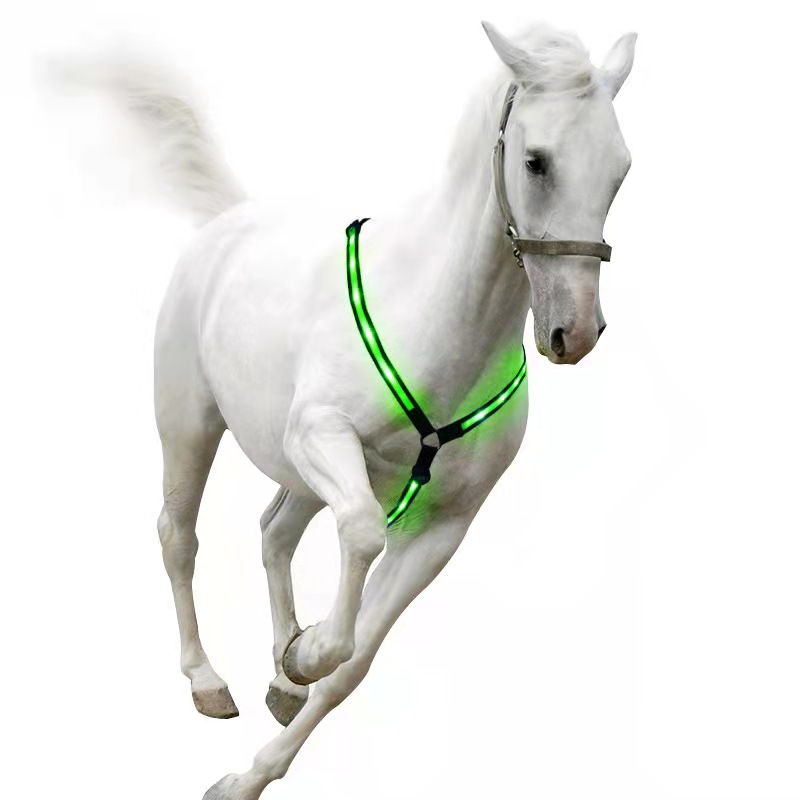 Horse Riding Equipment Colorful Strong and Durable Plastic Soft Waterproof Print OEM PVC Logo Inside Adjustable Nylon Touch PCS