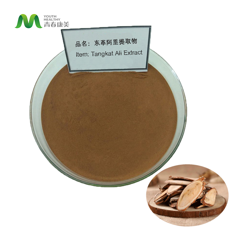 OEM Wholesale Bulk Tongkat Ali Root Powd 200:1 Long Jack Extract Tongkat Ali Eurycomanone