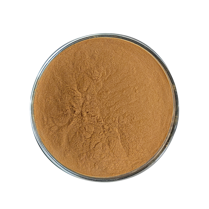 High Quality Devils Claw Extract Harpagophytum Procumbens