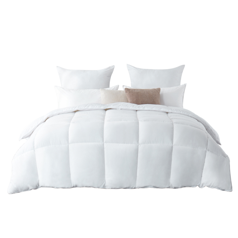 RUIKASI RKSB-0281Super Warm Lamb Quilt Winter Blanket Double-sided Velvet Quilt Thick Warm Autumn Spring Plush Comforter Core