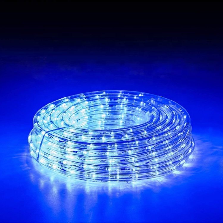 Color Changing Rope Lights Outdoor String Lights for Bedroom Wedding Patio Garden Christmas Decor