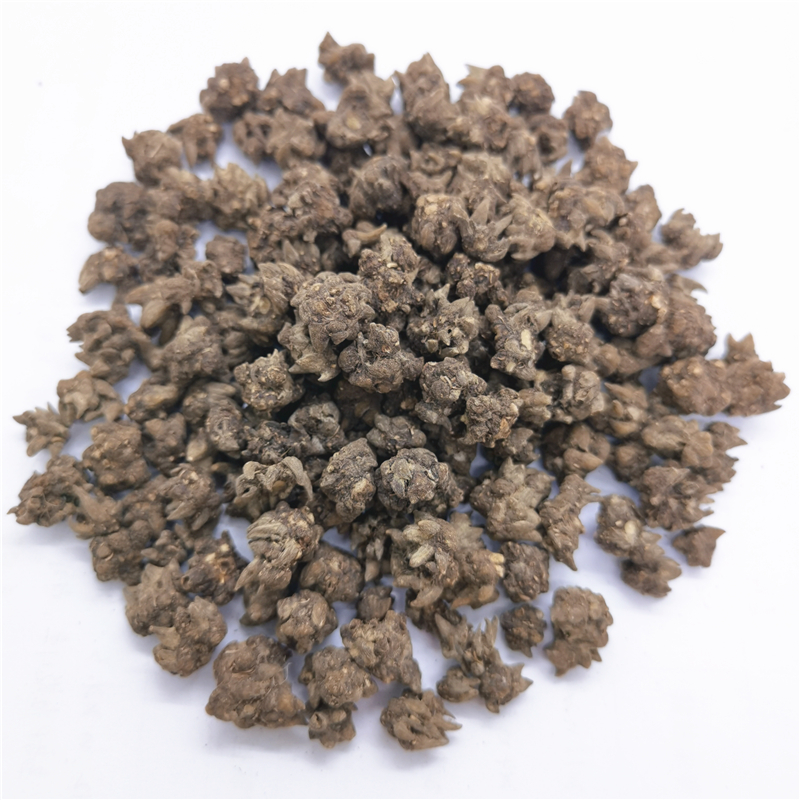 mao zhao cao natural herbs and spices Radix Rnunculi Ternati