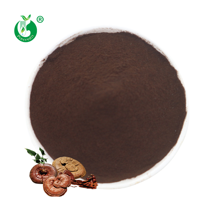 Factory Direct Sale Reishi Mushroom Extract Reishi Spore Powder