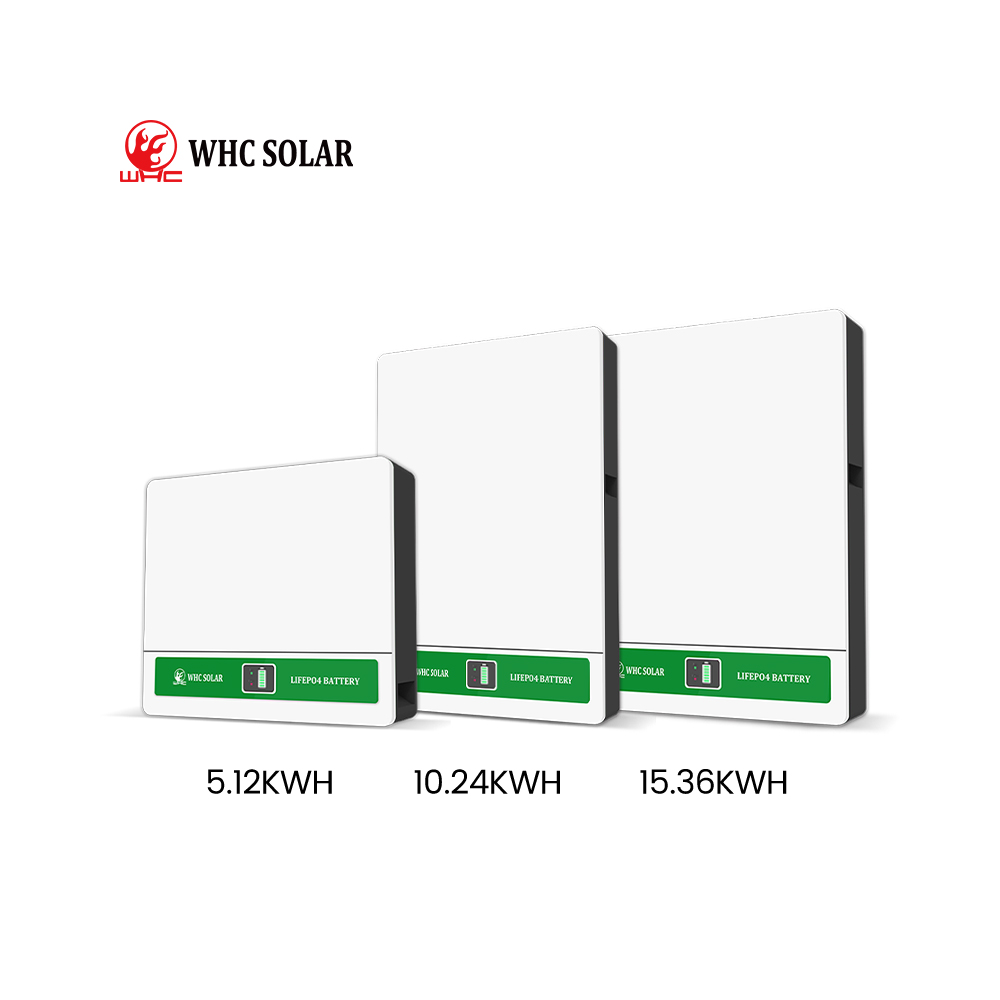 5Kwh 10Kwh 15Kwh 20Kwh Lifepo4 Battery Smart Bms Energy Storage Battery Lithium Ion 51.2V Lifepo4 Battery 300Ah