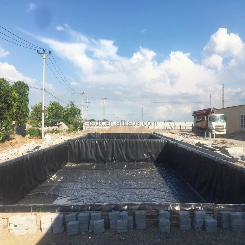 2mm HDPE Geomembrane for Mine Tailing treatment Projects in Tanzania