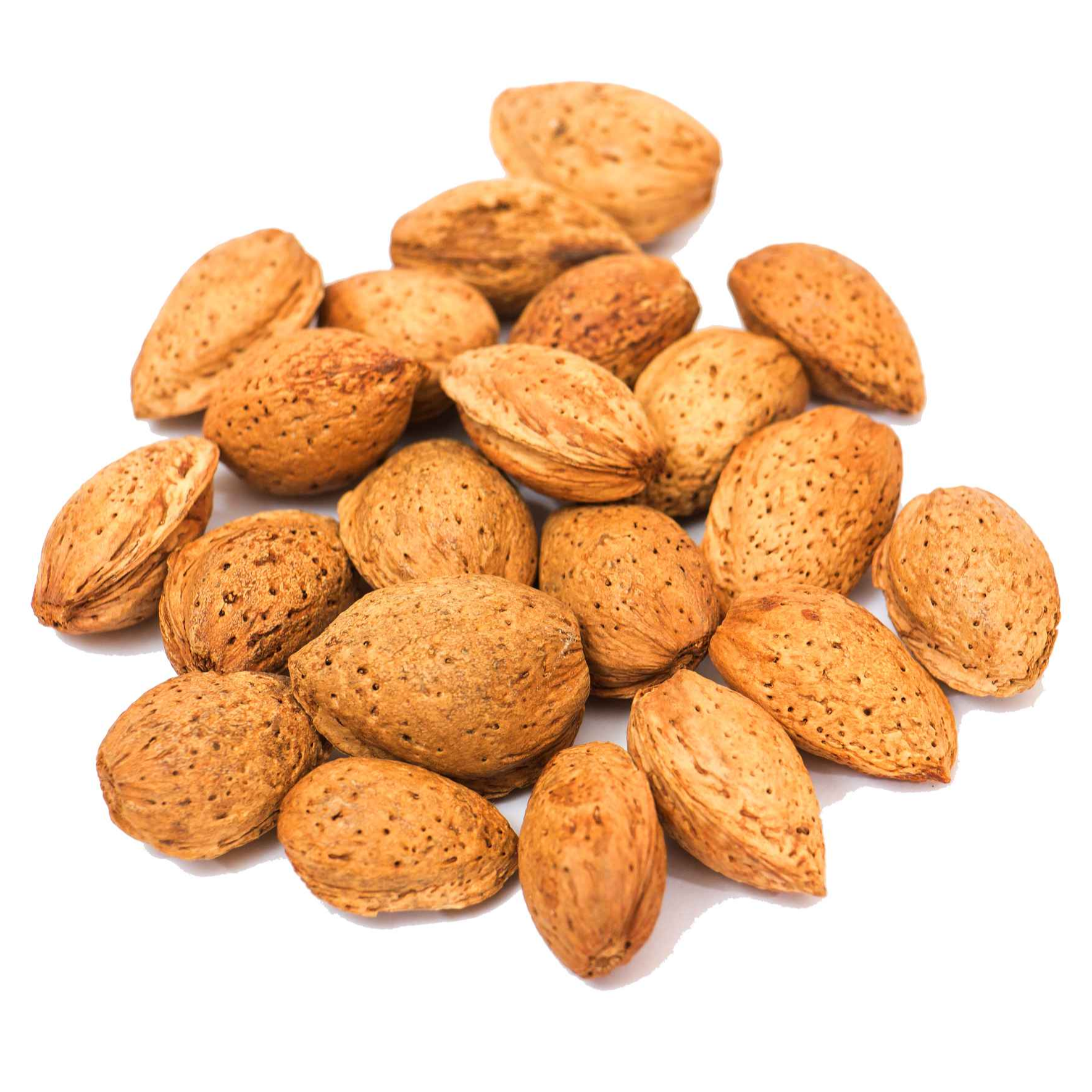 Supplier Supply Wholesale Price Healthy And Delicious 1KG Nut Food Shelled Almonds