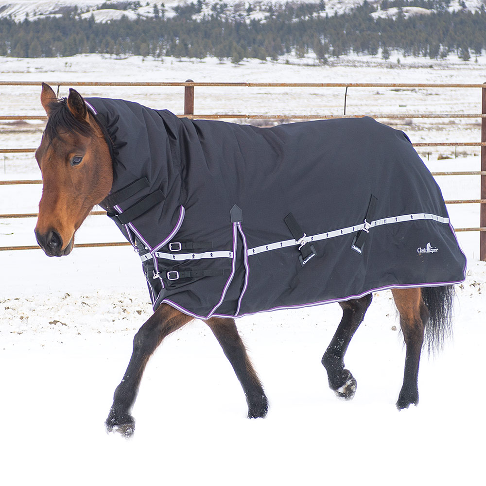 Windproof equestrian winter turnout horse blanket with hood
