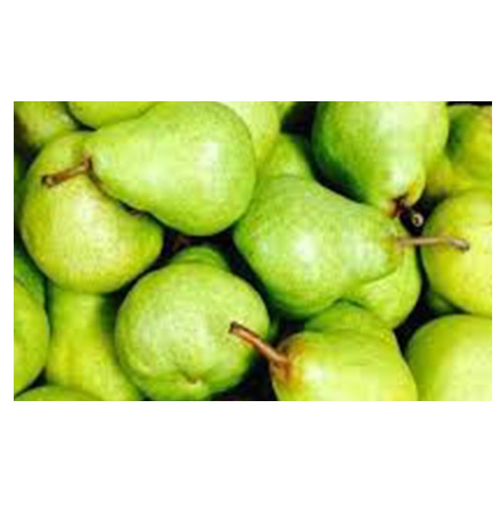 Южная Африка, супер качество, свежие PACKHAM TRIUMPH PEARS, оптовая продажа