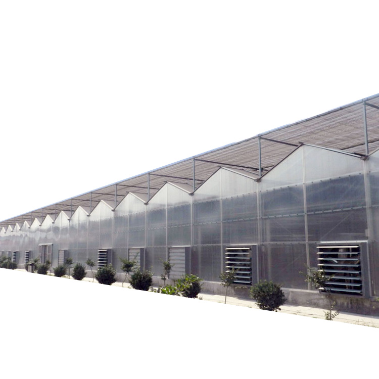 Green house Поликарбонат агрикультурные теплицы рорст гидропоники системы для посадки овощей
