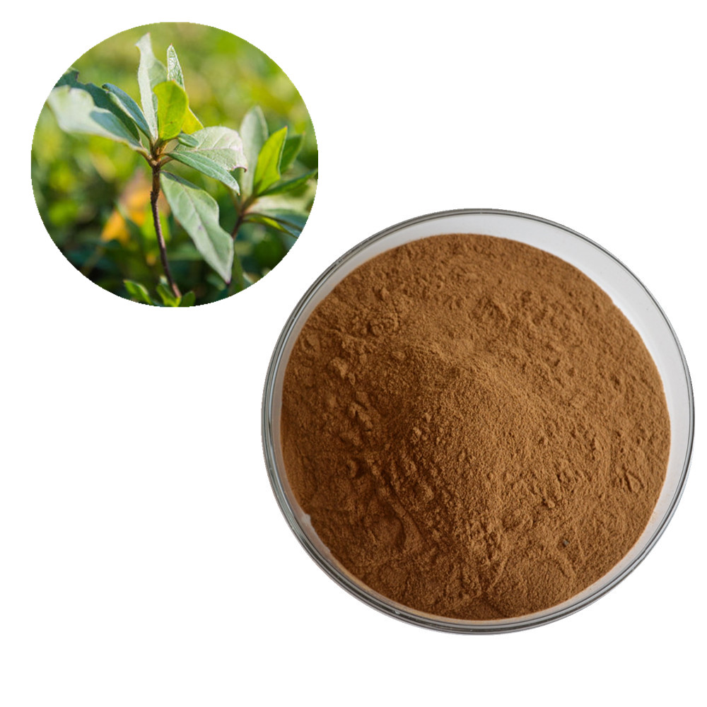 Premium quality 100% natural fadogia agrestis extract powder