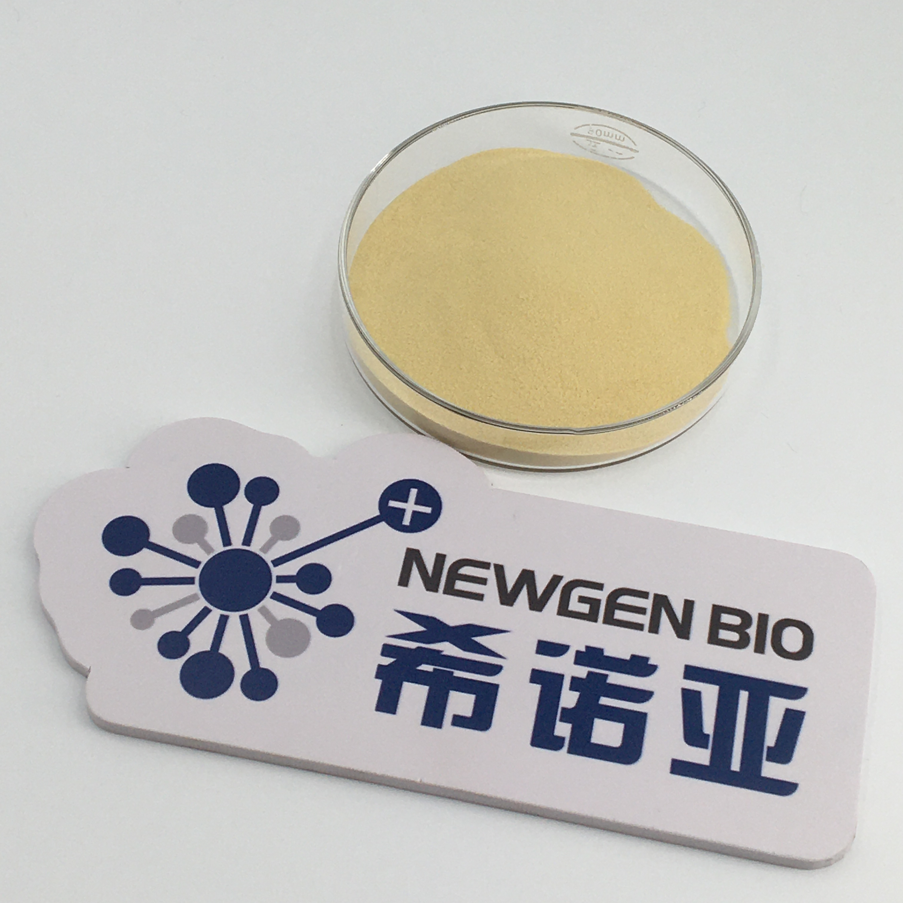 Food grade High Activity cellulase enzyme 500000U by NSF GMP professional enzyme manufacturer