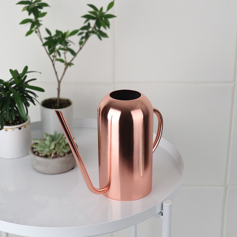 1.5L Watering Can for Indoor House Plants Long Spout Brushed Stainless Steel Watering Pot (Bronze Color)