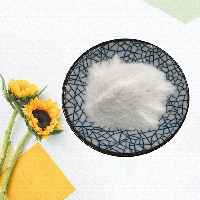 Supplement Food Additives Probiotic Lactobacillus Salivarius