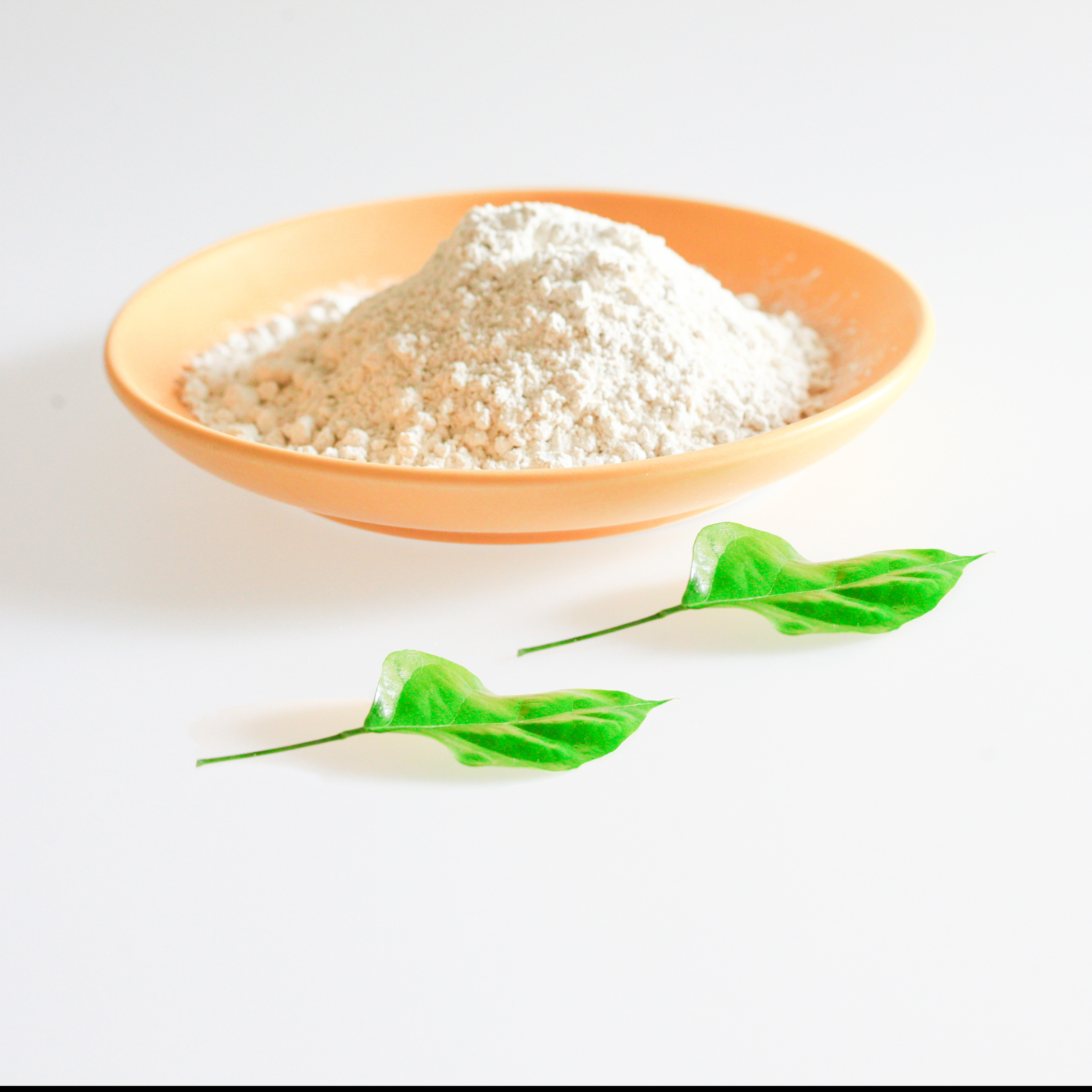 Chinese supplier specializes in the production of probiotic powder Clostridium butyricum