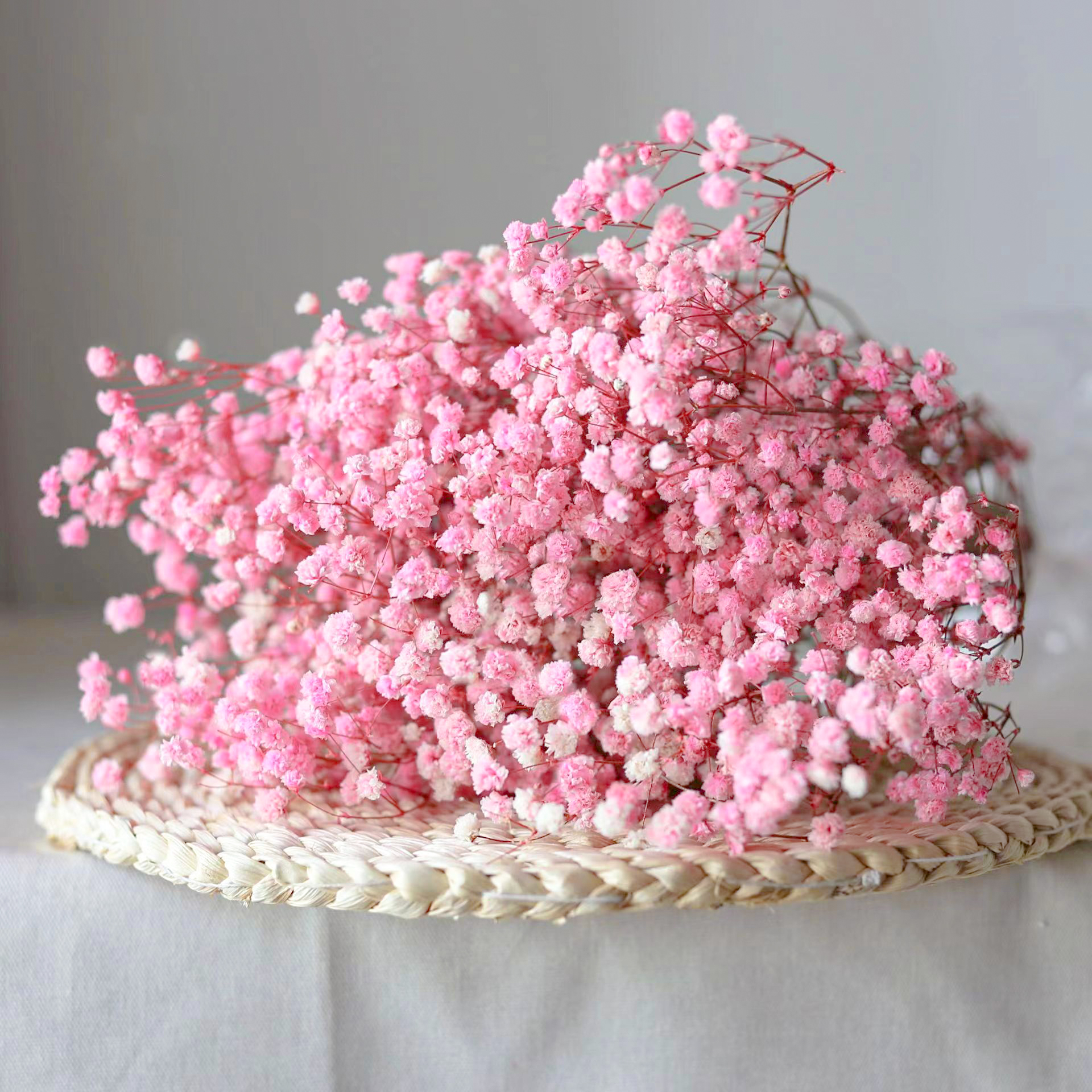 Wholesale Hot Selling Dried Flower Preserved Baby's Breath Flower Real Touch For Home Party Wedding Hotel Decoration