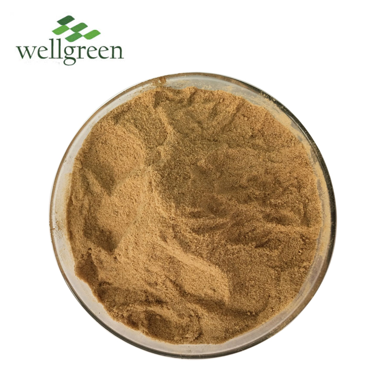 Serrata P.E AKBA Huperzia Serrata Seeds Boswellia Extract Powder Boswellic Acid
