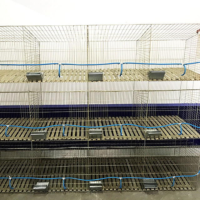 Кроличья клетка для продажи прочный легко Очищаемый Металл горячий продукт 2019 HT 3 месяца Электрический оцинкованный, горячеоцинкованный 8 мм фермы
