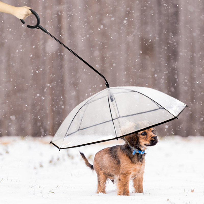 Portable Outdoor Dog Umbrella Folding Easy View Clear Transparent Rainproof Umbrella With Dog Chain