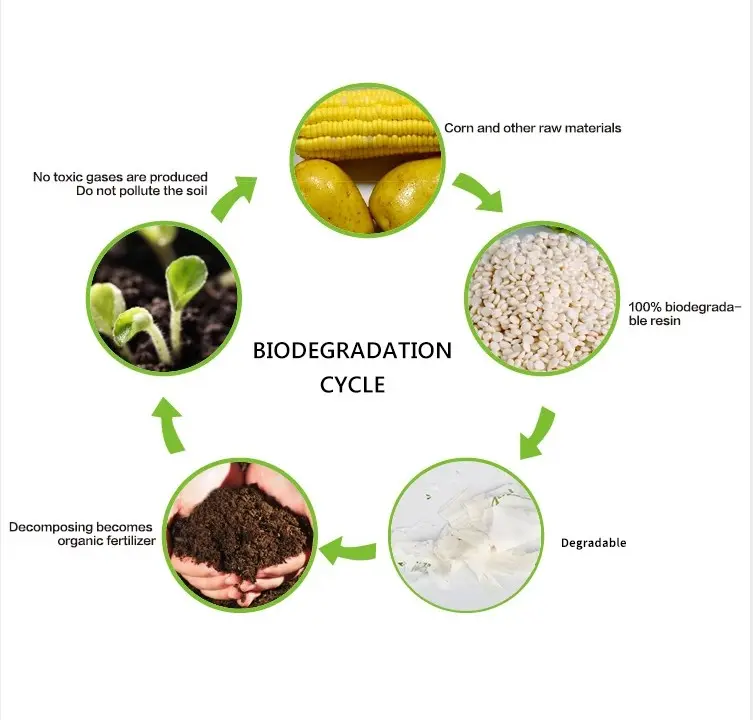 PLA PBAT corn cassava starch biodegradable granule machine