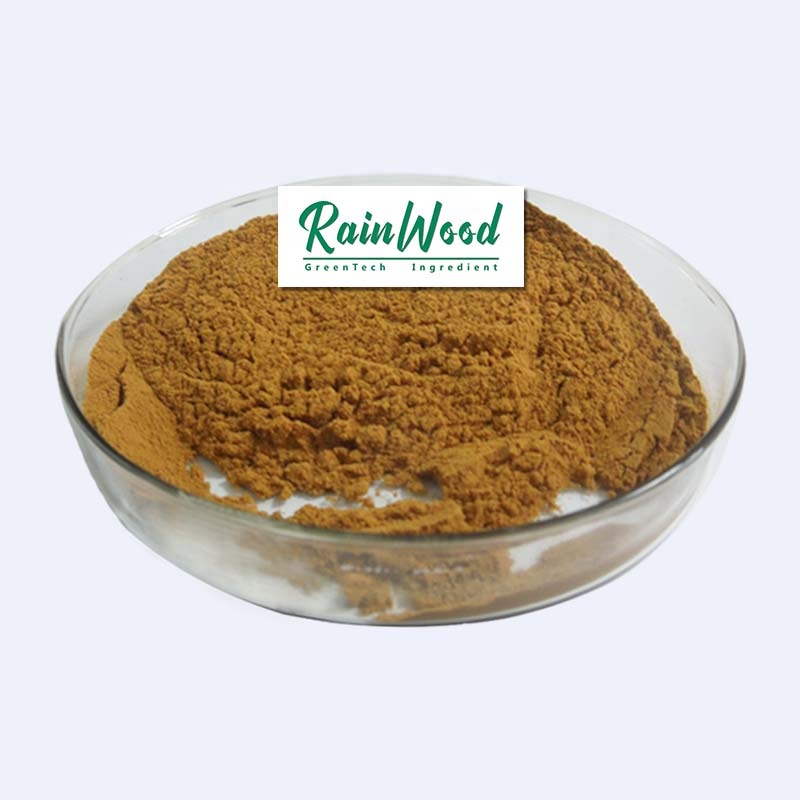 2021 new priceTurkey tail extract /Coriolus versicolor Extract Factory direct supplyTurkey tail mushroom extract powder