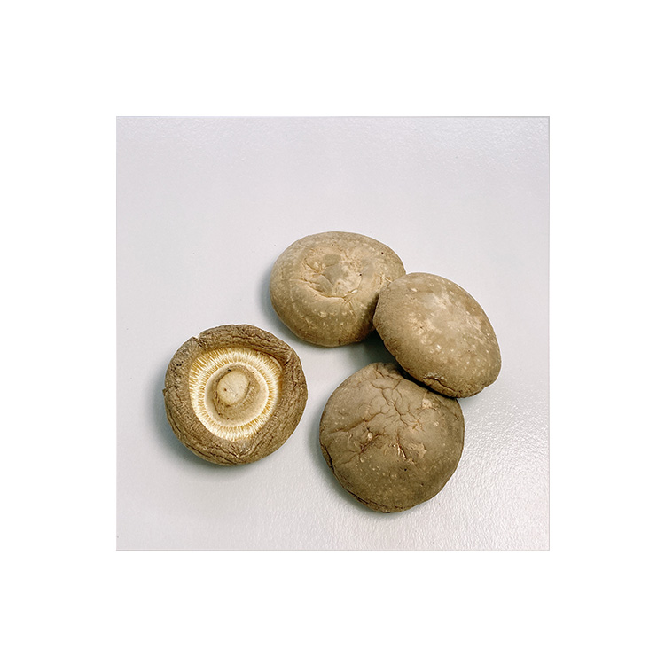 Продажа с завода различные высококачественные Хрустящие сушеные грибы Shiitake цены
