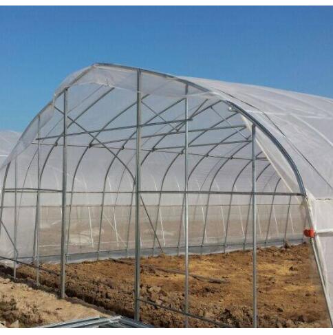 Cheap vegetables tunnel greenhouse baolida tunnel green house