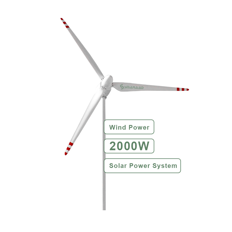 High Efficiency 2kw Alternative Energy Generators Horizontal wind turbine AC Generator
