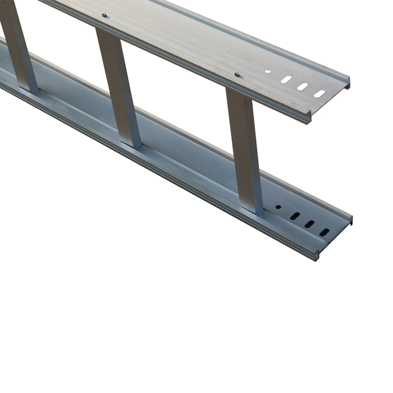 Production According To Direct Supply Customized Marine Cable Ladder Tray