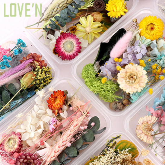 LOVE'N LV158F mixed pack Dried pressed flowers with stems for DIY handmade resin art Mold scrapbooking card making