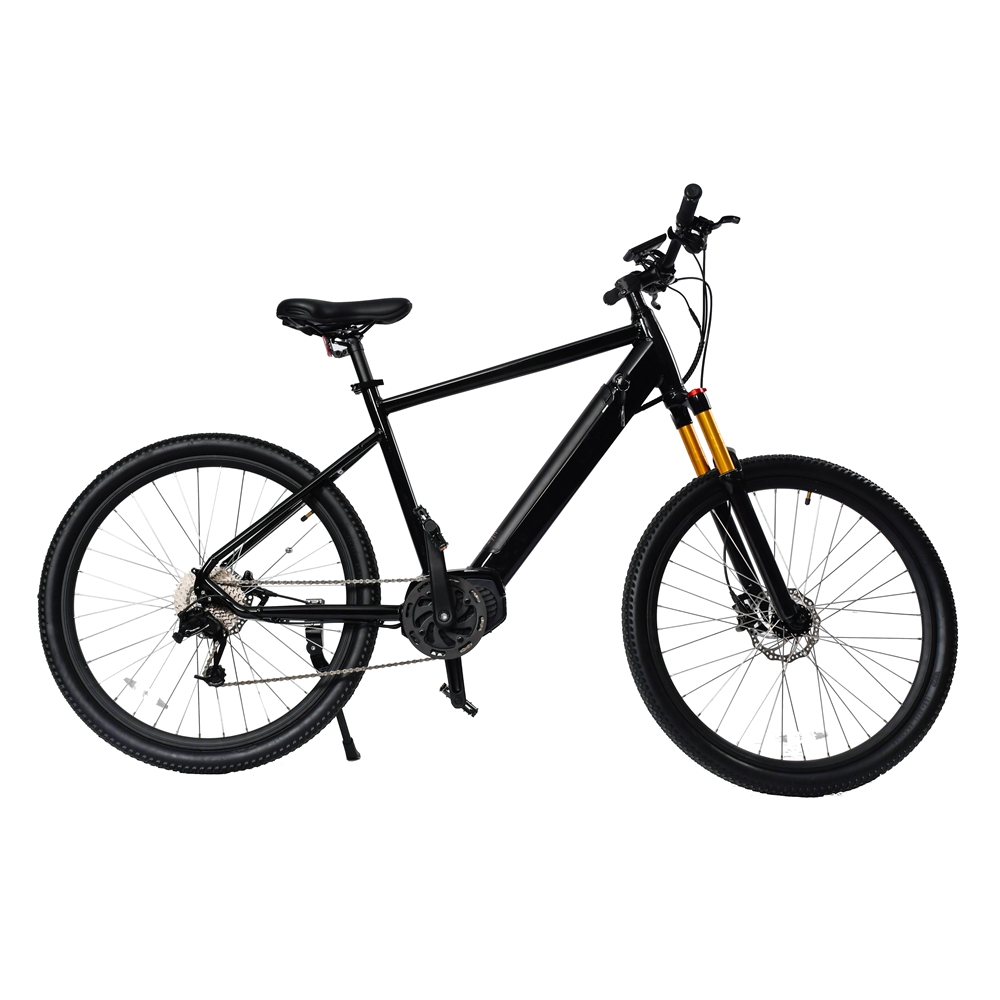 EEC 36V250W Электрический велосипед ODM лучший, фара для электровелосипеда в 20 дюймов Велосипедный спорт w/ shimano литиевая батарея ЖК-экран