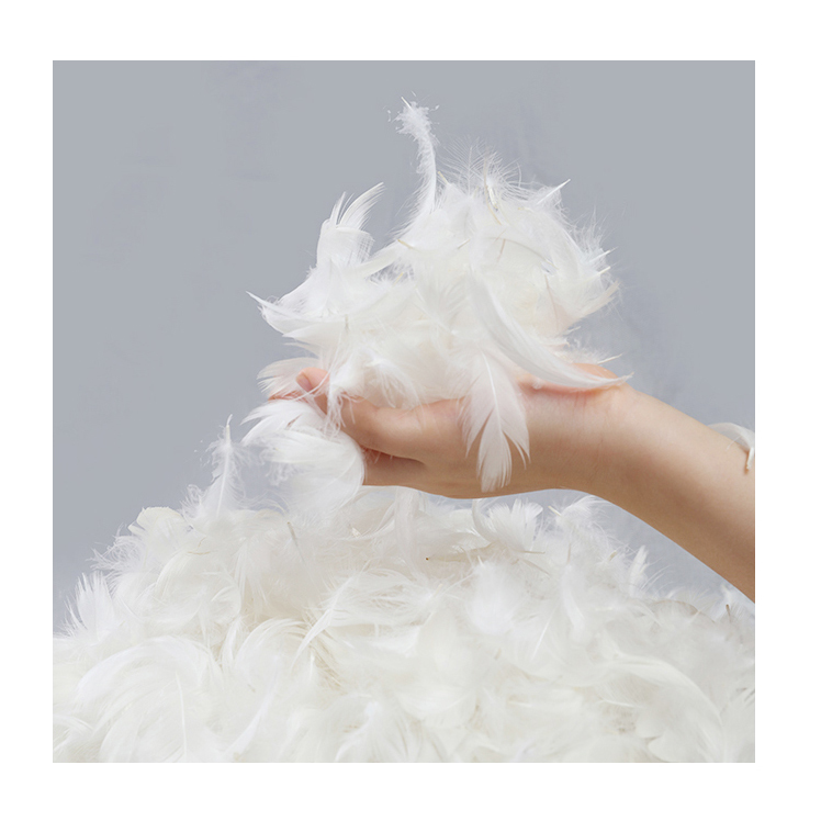 Hot Sales High Fluffy No Smell 90% Washed White Duck Down with used for Hotel
