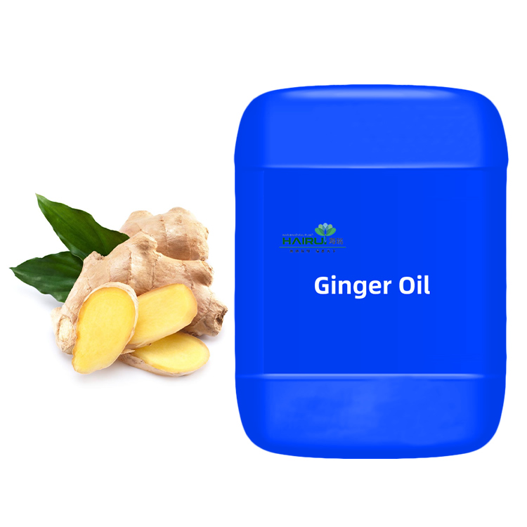 Ginger Oil bulk in essential oil 100% Pure Natural 30ml for hair care factory price