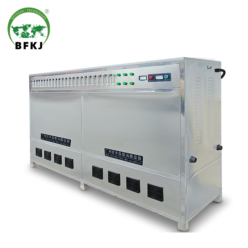 450g Commercial ozone machine use for swimming pool air disinfection Sewage treatment