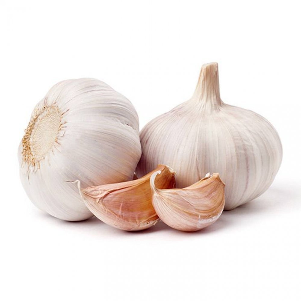 Knoblauch knoflook czosnek Ail шампиньоны для чеснока импортеров, Китай (материк)
