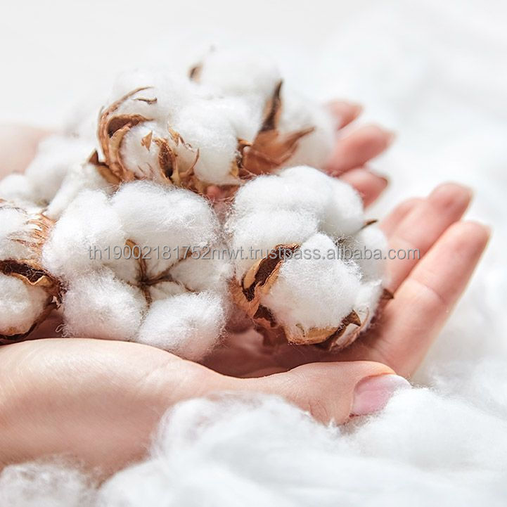 Sudanese 100% Cotton Fabric Pure Cotton Export Quality Raw Cotton Agriculture Product High Quality